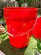 �ƹ�꡼�������ȼҡ�5�����󡡥Х��ġ��ե��դ���MADE IN U.S.A.���ʥ�åɡ�