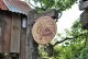 �ΤΥ��ɥХ������󥰡����åɥ����󡡥��꡼���軰�ơ��ʥ��������ӥ�����
