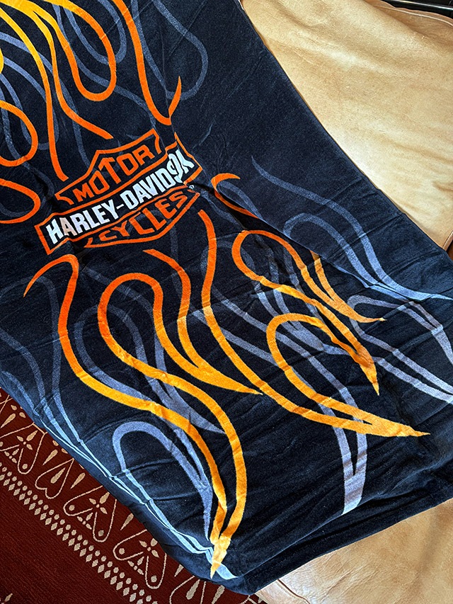 �ϡ��졼���ӥåɥ���B&S���ե쥤�ॹ��������