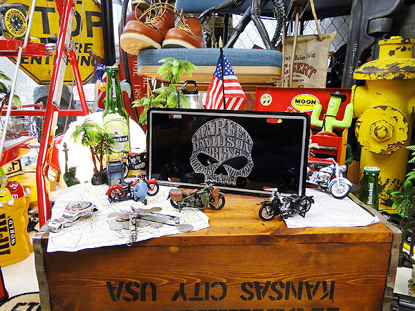 ϡ졼ӥåɥ󡡥饤󥹥ץ졼ȡʥ