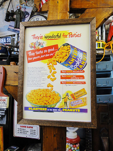 ݥե졼ࡡʥץ󥿡ˡݥե졼Υå