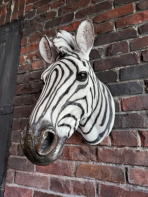 ���֥顡�إåɥ��֥��������ޥ���