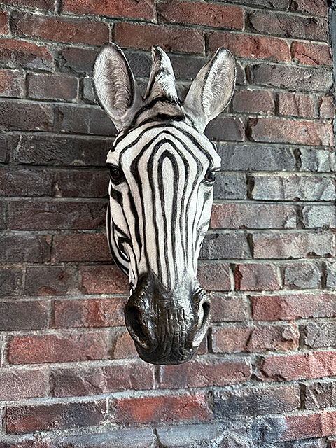 ���֥顡�إåɥ��֥��������ޥ���