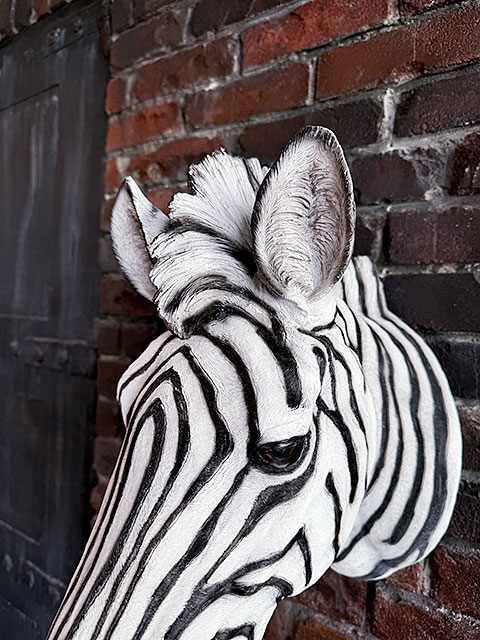 ���֥顡�إåɥ��֥��������ޥ���