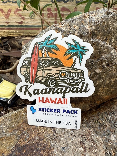 ���ƥå����ѥå��������ȥɥ������ƥå�����S���������ʥ����ʥѥ�SUV�ˡ�MADE IN U.S.A.���ѿ���Ѹ��ǺࡡPVC���ƥå���