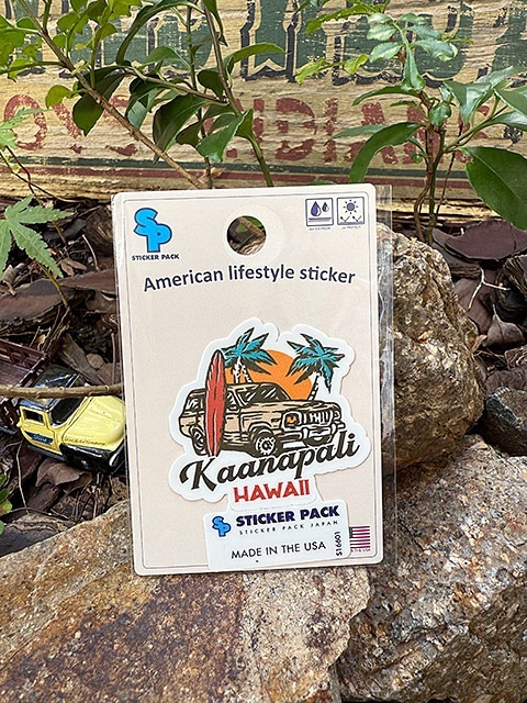 ���ƥå����ѥå��������ȥɥ������ƥå�����S���������ʥ����ʥѥ�SUV�ˡ�MADE IN U.S.A.���ѿ���Ѹ��ǺࡡPVC���ƥå���