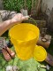 �ƹ�꡼�������ȼҡ�5�����󡡥Х��ġ��ե��դ���MADE IN U.S.A.���ʥ���������