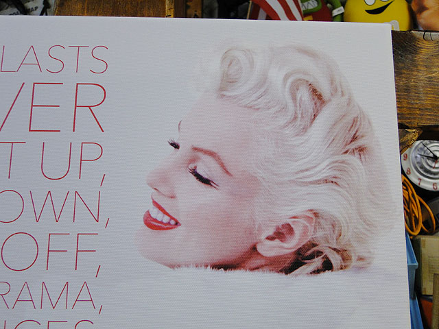 �ޥ��󡦥������������Х������ȡ���Nothing Lasts Forever��