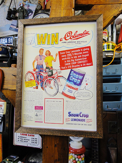 ݥե졼ࡡʥΡå/͡ɡˡݥե졼Υå