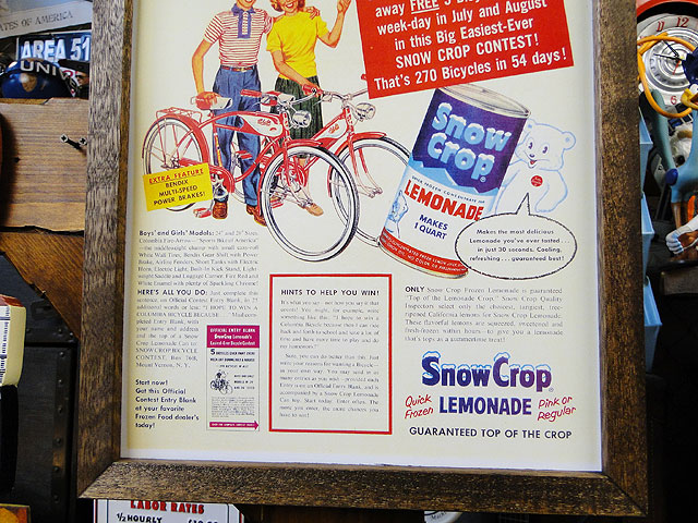 ݥե졼ࡡʥΡå/͡ɡˡݥե졼Υå