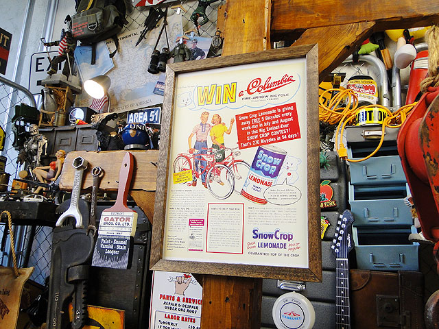 ݥե졼ࡡʥΡå/͡ɡˡݥե졼Υå