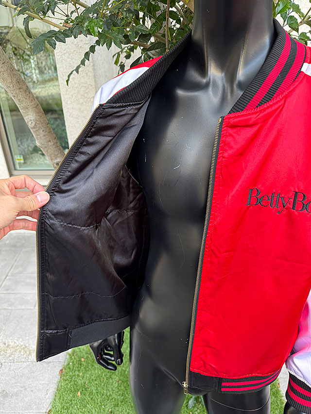 �٥ƥ����֡��ס����������L�������Τߤ�Ÿ������˥��å��������ե������饤���󥹡�����饸���