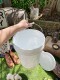 �ƹ�꡼�������ȼҡ�5�����󡡥Х��ġ��ե��դ���MADE IN U.S.A.���ʥۥ磻�ȡ�