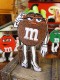 m&m's������饯������åڥ�M���������ʥ֥饦���