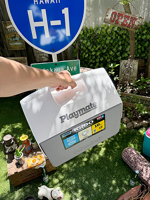 �����롼���ץ쥤�ᥤ�ȡ����꡼�ȡ�15L���ʥ��졼�ˡ�350ml�̤�30�ܼ�Ǽ��ǽ