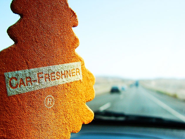 ȥĥ꡼ʥ˥塼ˡLittle TreesMADE IN U.S.A.