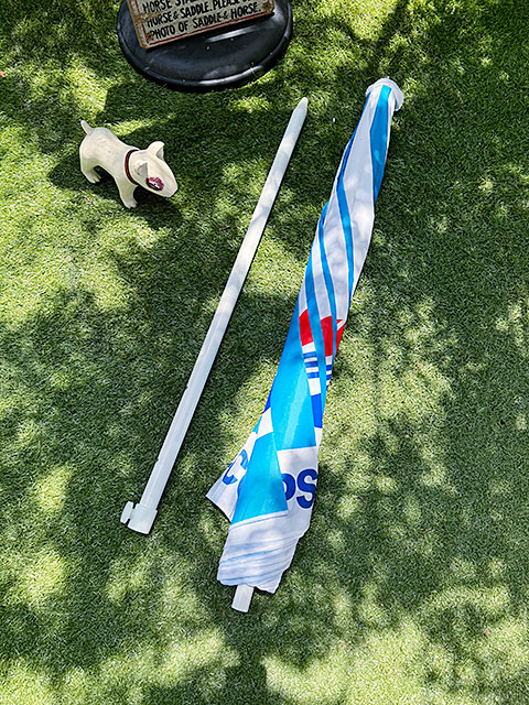 ����ꥫ�󡡥ѥ饽�롡ľ��188cm���ʥڥץ��ˡ������ȥɥ��ѥ饽�롡�ӡ����ѥ饽�롡�����ǥ�ѥ饽�롡��������ɤ�����