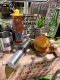 �ࡼ�󥯥饷�å������ƥ�쥹��������ܥȥ롡L��200ml���ࡼ�󥢥���