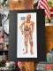 �ϥꥦ�åɥݥ�������#0064��C-3PO���ǲ衡����������������BANTAM��BOOKS��B4�������������ѥե졼�������Ǥ�