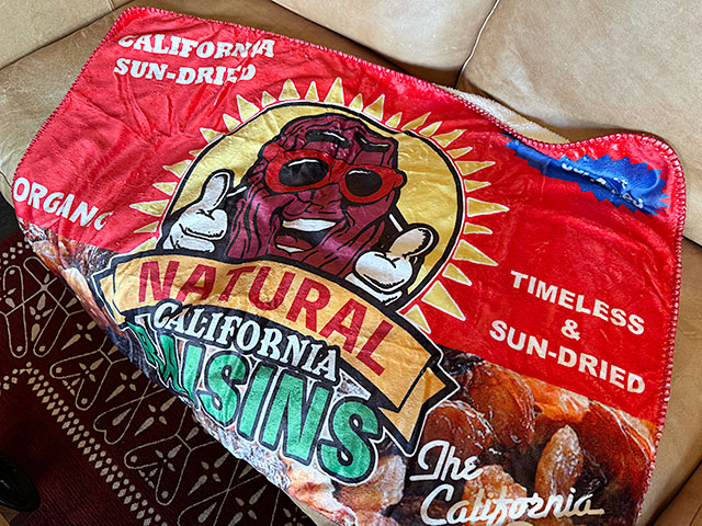 ե˥졼󡡥ե꡼֥󥱥åȡʥåɥݡ