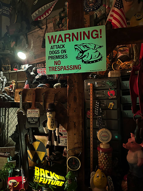 ����ꥫ���߸��ٹ𥵥��󡡡��Ը����ա�Ω������ػߡ�