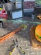 �ࡼ�󥢥�����40��ǯ���˥С����꡼��Ȥ�֤�