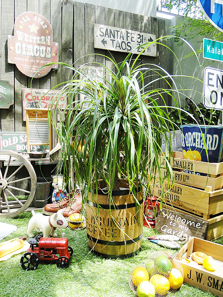 �����ҡ���î����Ʀ����ˡ������㡡�ʢ��ե������