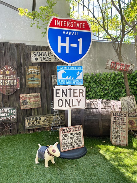 ����ꥫ�Υץ饹���å�������ܡ��ɡ��إӡ����󥹥����ס����������ե��ꥢ��
