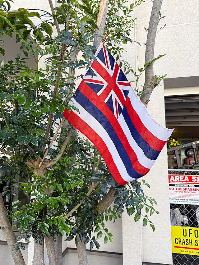 �ϥ磻���������ƥ��å��ե�å���L���������ϥ磻����ե�å���