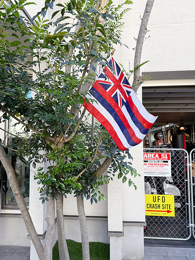 �ϥ磻���������ƥ��å��ե�å���L���������ϥ磻����ե�å���