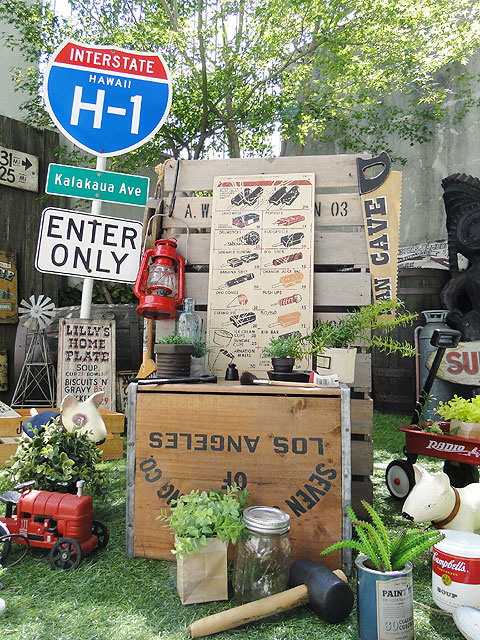 ΤΥɥХ󥰡åɥ󡡡ʥ˥塼