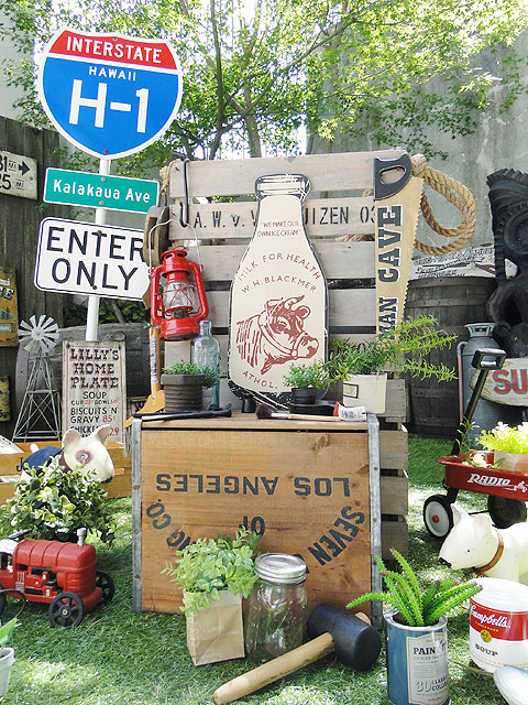 ΤΥɥХ󥰡åɥ󡡡ʥߥ륯ܥȥ롡