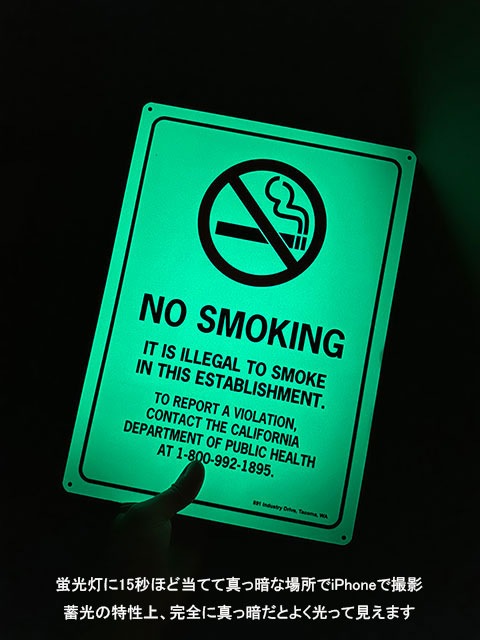 ����ꥫ���߸��ٹ𥵥��󡡡ʶر�/�ķ�/�ǥ�����1��