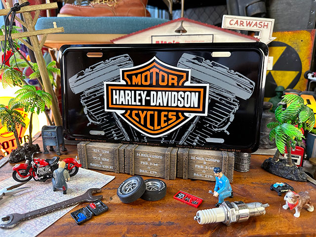 ϡ졼ӥåɥ󡡥饤󥹥ץ졼ȡVĥ󥨥󥸥