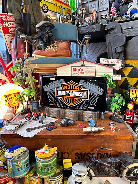 ϡ졼ӥåɥ󡡥饤󥹥ץ졼ȡVĥ󥨥󥸥