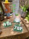 7UP�����֥󥢥åס���С��������������ʥ��꡼��/TYPE1�ˡ�ñ��