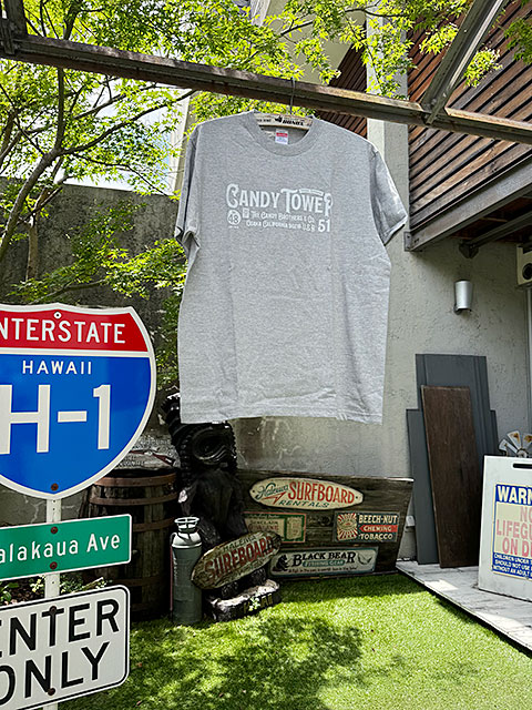 �����ǥ���������ե�����롡T����ġ���ߥƥåɥ��顼���ʥ��졼��