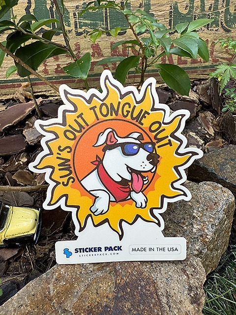 ���ƥå����ѥå��������ȥɥ������ƥå�����L���������ʥ��󥺥����ȥ��󥰥����ȡˡ�MADE IN U.S.A.���ѿ���Ѹ��ǺࡡPVC���ƥå���