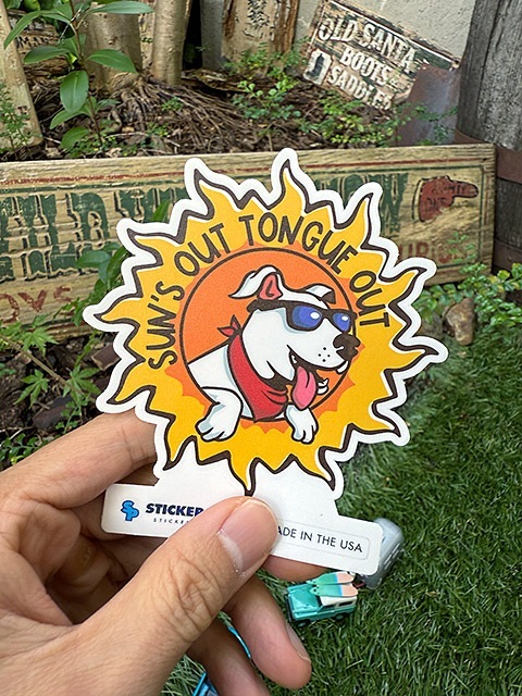 ���ƥå����ѥå��������ȥɥ������ƥå�����L���������ʥ��󥺥����ȥ��󥰥����ȡˡ�MADE IN U.S.A.���ѿ���Ѹ��ǺࡡPVC���ƥå���