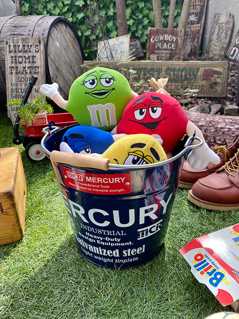 �ޡ�����꡼���Х��ġ��쥮��顼��������10L���ʥͥ��ӡ���