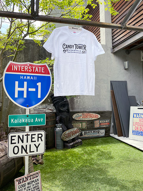 �����ǥ���������ե�����롡T����ġ��ʥۥ磻�ȡ�