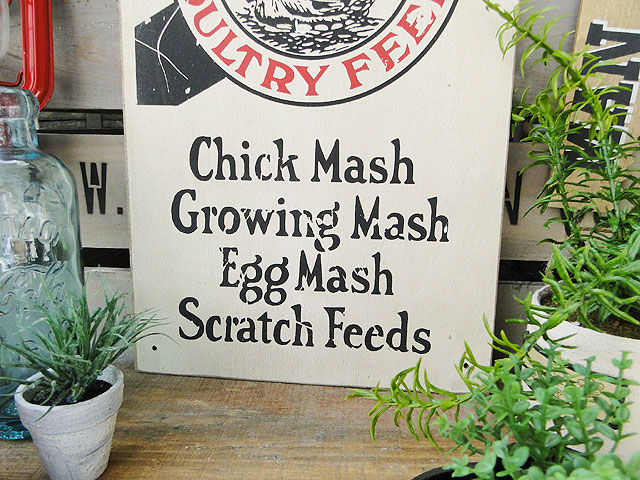 ΤΥɥХ󥰡åɥ󡡡ʥǥå󥽥Ĺͳѡ