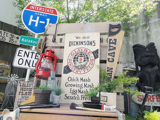 ΤΥɥХ󥰡åɥ󡡡ʥǥå󥽥Ĺͳѡ