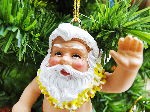 �ϥ磻���󡡥��ꥹ�ޥ������ʥ��ȡ��ʥ����ȥ륵�󥿡�