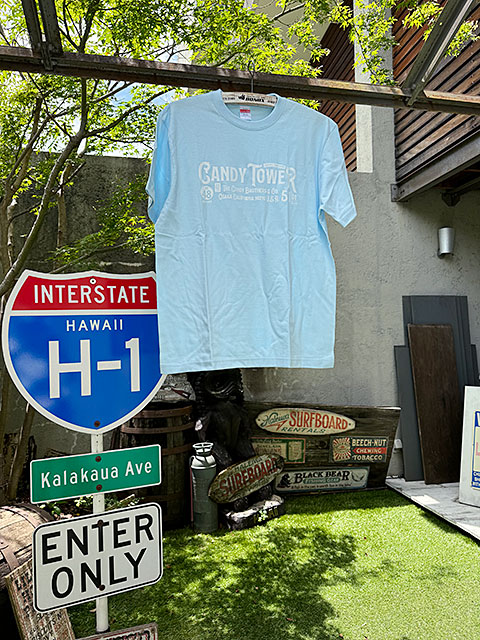 �����ǥ���������ե�����롡T����ġ���ߥƥåɥ��顼���ʥ饤�ȥ֥롼��