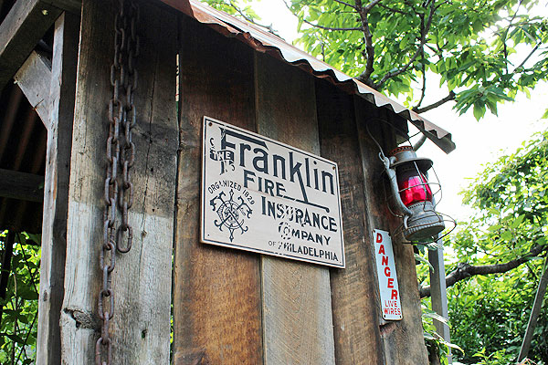 �ΤΥ��ɥХ������󥰡����åɥ����󡡥��꡼���軰�ơ��ʥե�󥯥��ե����䡼��