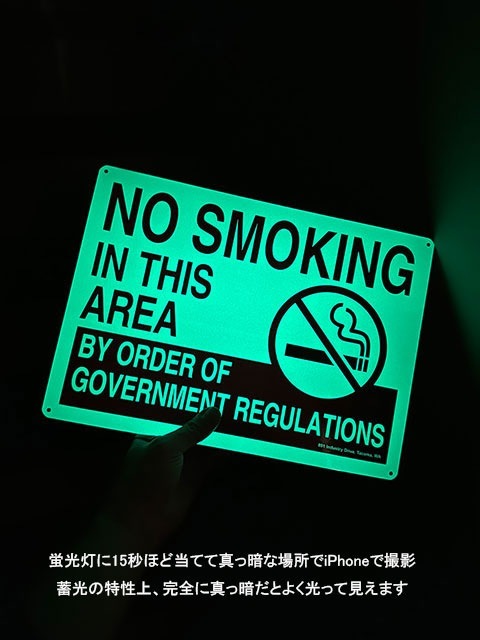 ����ꥫ���߸��ٹ𥵥��󡡡ʶر�/����/�ǥ�����2��