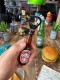 �٥ƥ����֡��ס��ӥ��ܥȥ뷿�ܥȥ륪���ץʡ�����XOXO BEER�ˡ��ޥ��ͥå��դ�����ȴ��