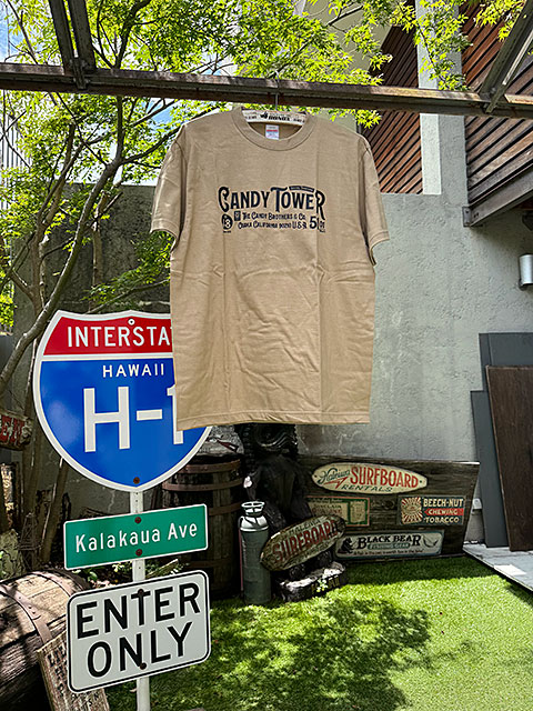 �����ǥ���������ե�����롡T����ġ���ߥƥåɥ��顼���ʥ���ɡ�