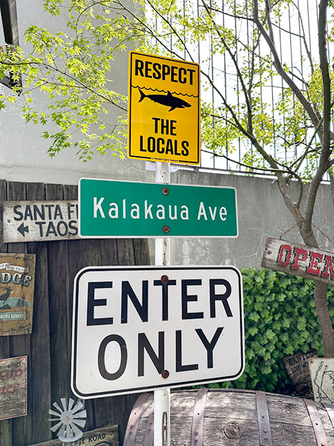 ϥ磻󥵥ܡɡʥ/RESPECT THE LOCALS